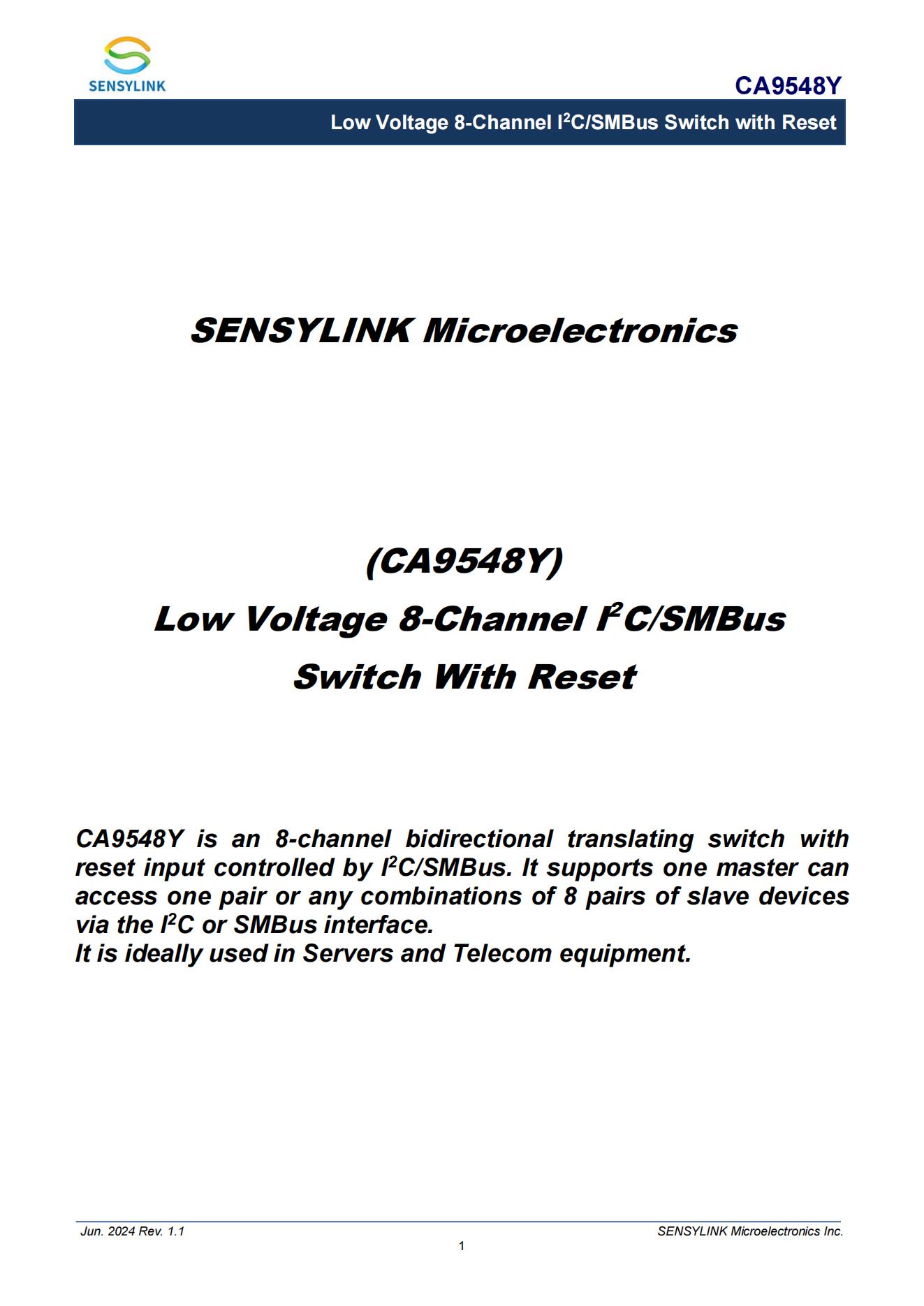 CA9548Y Advanced Datasheet Ver1.1 20240612
